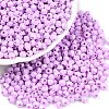 Baking Painted Glass Seed Beads SEED-C004-01K-3