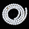 Natural Freshwater Shell Beads Strands X-BSHE-T009B-01A-3