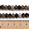 Natural Petrified Wood Beads Strands G-Z111-A50-6