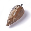 Natural Picture Jasper Pointed Pendants G-E541-10C-2