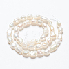 Natural Cultured Freshwater Pearl Beads Strands PEAR-R064-56-4
