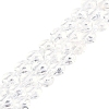 Natural Quartz Crystal Beads Strands G-N342-1