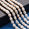 Natural Cultured Freshwater Pearl Beads Strands X1-PEAR-S012-41E-5