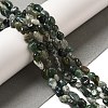 Natural Moss Agate Beads Strands G-L608-A03-01-2