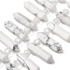 Natural Howlite Double Terminated Point Beads Strands G-H069-B12-01A-1