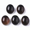 Translucent Glass Cabochons GLAA-T023-02C-01-3