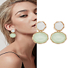 1 Pair Resin Dangle Stud Earrings EJEW-LP0004-82B-1