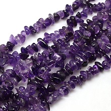 Natural Amethyst Chips Beads Strands X-G-P030-02