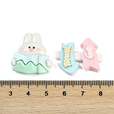 Travel Theme Resin Cabochons RESI-H166-23-1