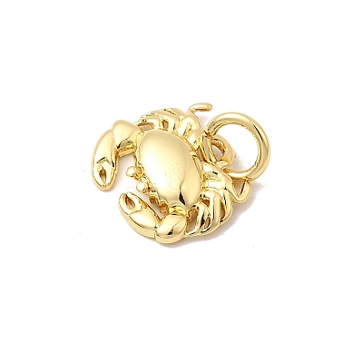 Brass Charms KK-I364-06G-02-1