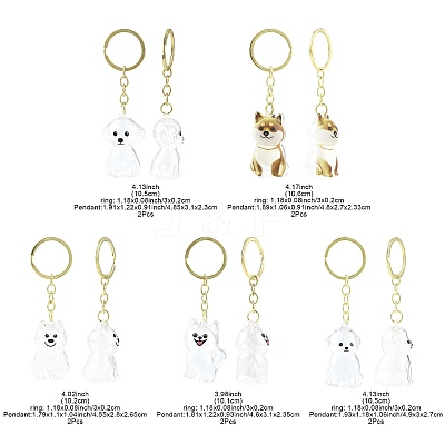 Iron Plastic Keychains LS-KEYC-FZC0001-001B-G-1