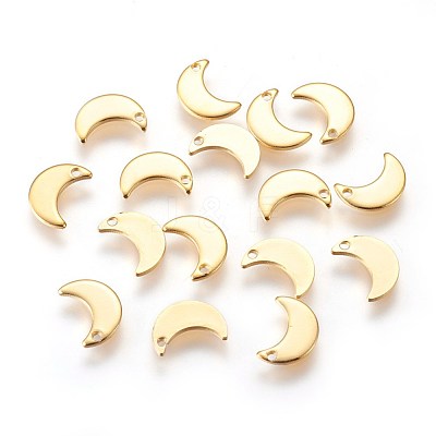 304 Stainless Steel Charms X-STAS-E447-08G-1