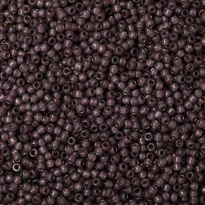 TOHO Round Seed Beads SEED-XTR08-PF2114-1