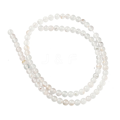 Natural Dendritic Agate Beads Strands G-C011-4mm-01-1