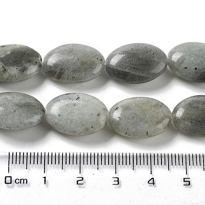 Natural Labradorite Beads Strands X-G-L164-A-34-1