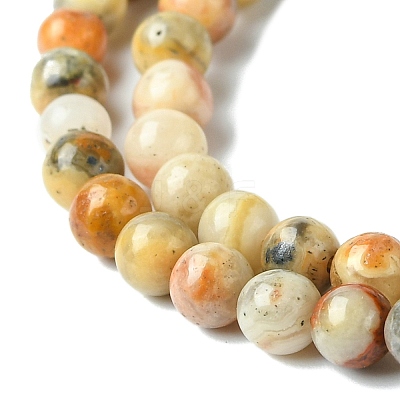 Natural Crazy Lace Agate Round Bead Strands X-G-E334-4mm-20-1