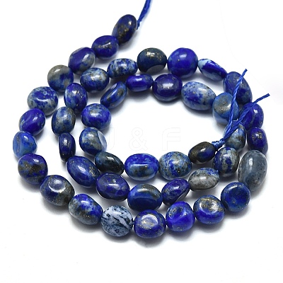 Natural Lapis Lazuli Beads Strands G-O186-B-17-1