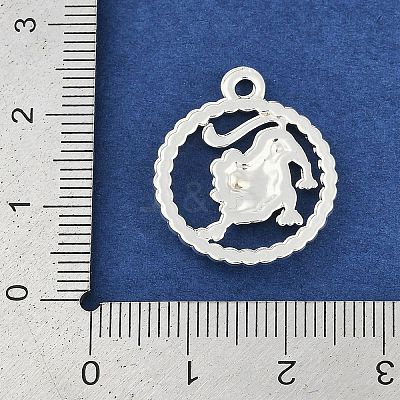 Twelve Constellations Alloy Pendants PALLOY-Q006-01J-S-1