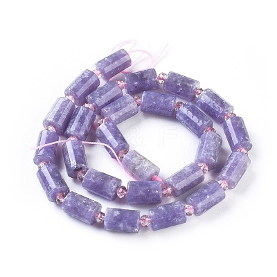 Natural Lepidolite/Purple Mica Stone Beads Strands G-F653-21-1