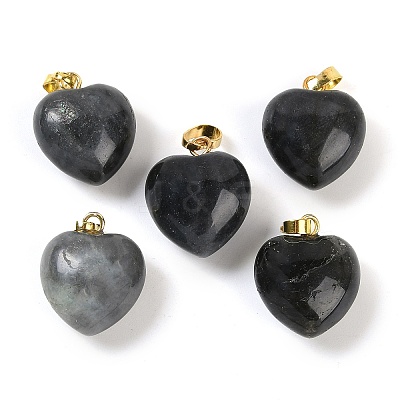 Natural Labradorite Pendants G-J386-H15-G-1