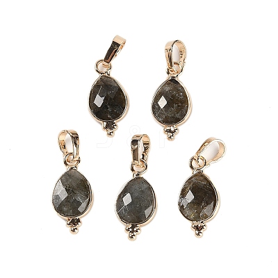 Natural Labradorite Faceted Pendans KK-L218-004G-02-1
