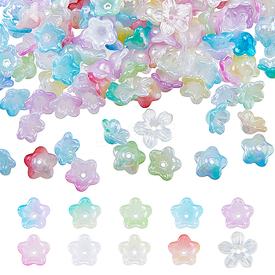 Acrylic Bead Caps OACR-DC0001-29A-1