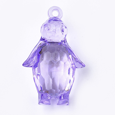 Transparent Acrylic Pendants TACR-S149-03-1