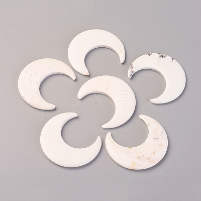 Natural Howlite Cabochons TURQ-L031-045-1
