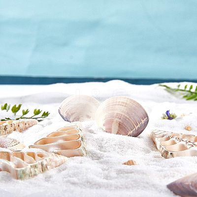 Clam Shell Beads SSHEL-NB0001-11-1