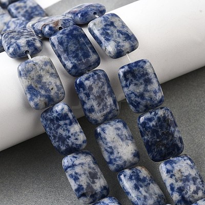 Natural Blue Spot Jasper Beads Strands G-S386-A05-1