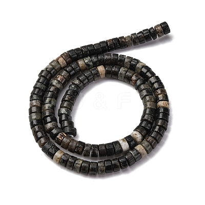 Natural Biotite Beads Strands G-L624-I12-3x6mm-1