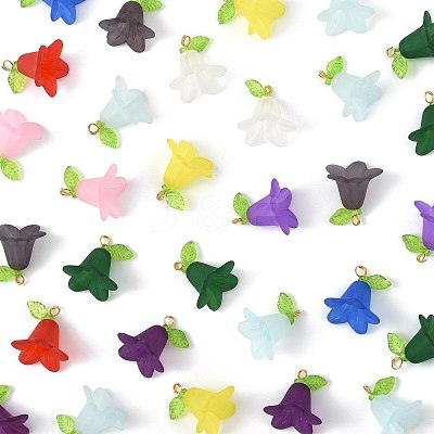 50Pcs Transparent Acrylic Pendants PALLOY-FS00043-05-1