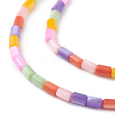 Natural Freshwater Shell Dyed Beads Strands SHEL-M018-12-13-1