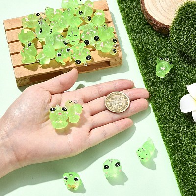 24Pcs 6 Styles Luminous Frog Resin Pendants RESI-YW0006-19-1