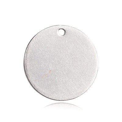 Non-Tarnish Spray Painted 201 Stainless Steel Charms STAS-F092-06P-1