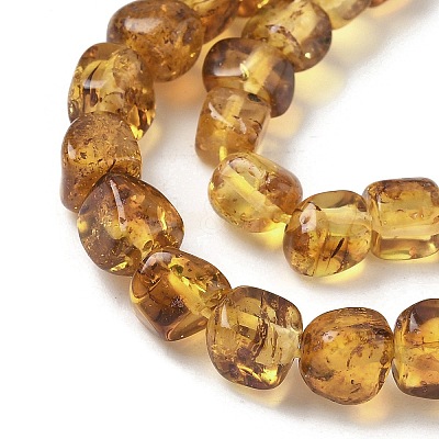Natural Amber Beads Strands G-L095-E01-06-1