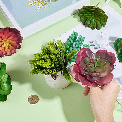 PVC Artificial Succulent Plant AJEW-SP0004-35A-1