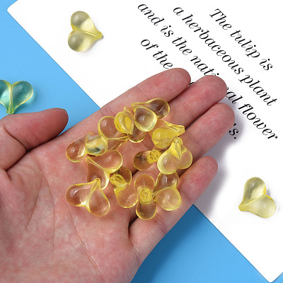 Transparent Acrylic Beads MACR-S373-70-B03-1