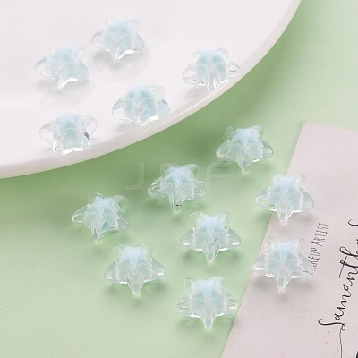 Transparent Acrylic Beads TACR-S152-11A-10-1