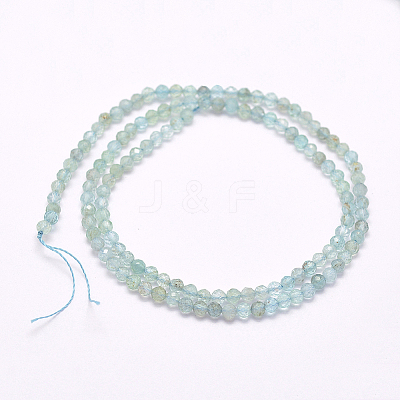 Natural Apatite Beads Strands LS-G-I156-05-A-1