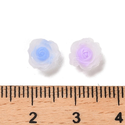 Luminous Resin Decoden Cabochons RESI-K036-06I-1