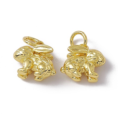 Rack Plating Brass Charms KK-C007-17G-1