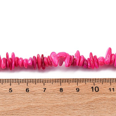 Natural Freshwater Shell Beads Strands BSHE-I016-01G-1