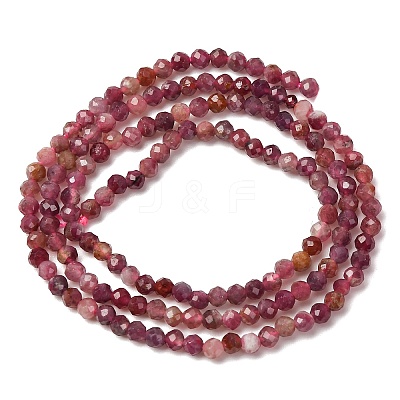 Natural Red Tourmaline Beads Strands X-G-A021-01D-01-1
