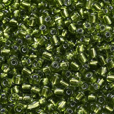 6/0 Glass Seed Beads X2-SEED-A005-4mm-24-1