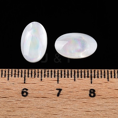 Natural White Shell Cabochons SSHEL-T017-06-1