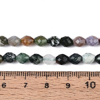Natural Indian Agate Beads Strands G-T142-83-1