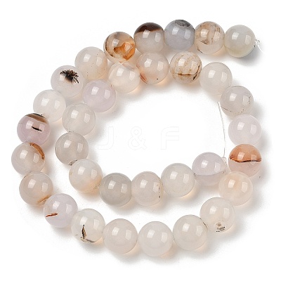 Natural Dendritic Agate Beads Strands G-A248-A07-02-1