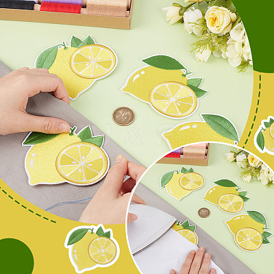 12Pcs Computerized Embroidery Polyester Iron on/Sew on Patches DIY-MA0007-24-1