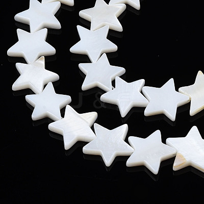 Natural Freshwater Shell Beads Strands SHEL-S278-01D-01-1